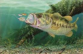 Home Spun Fun Large Mouth Bass Fish Art Fish Artwork Fish