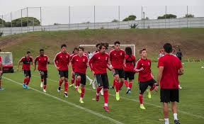 Nigeria midfielder ucheibe scores as sl benfica thrash torreense. Benfica S Develop And Sell Strategy Has It Turning Record Profits While Succeeding On The Field