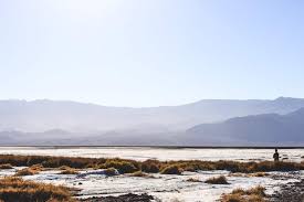 You will see nearly 200 square miles of land covered by salt planes. 14 Best Things To Do In Death Valley National Park California