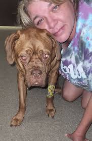 I lost my baby this afternoon only the heartless ones will not type Rip