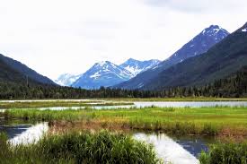 Landscape With Mountains With Wetlands In Alaska Image Free Stock Photo Public Domain Photo Cc0 Images