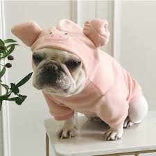 Dog Cat Pet Puppy Hoodie Pig Piggy Ikea Knorrig Inspired Etsy In 2021 Pet Pigs Dog Halloween Pet Costumes