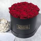 Eternal Roses - Year Lasting Preserved Infinity Roses ...