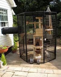 An outdoor cat enclosure gives your feline companion the best of both worlds. These Are The Most Epic Cat Patios Aka Catios We Ve Ever Seen Cats On Catnip