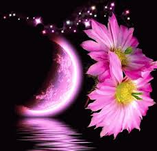 We have put together a large collection of wonderful animated pictures of flowers, buds, bouquets. Pink Flowers Gif Pink Flowers Discover Share Gifs Flowers Gif Animated Flowers Beautiful Moon