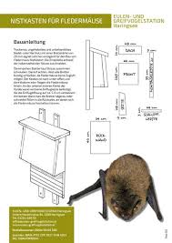 Nistkasten Fur Saugetiere Eulen Und Greifvogelstation Haringsee Saugetiere Fledermaushaus Fledermauskasten