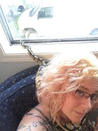 Baby tarantula removal assistance needed