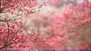 Another cool live wallpaper based on a video clip from a chinese website bilibili this time they are more elaborate and much more romantic. Cherry Blossom Wallpaper Engine Novocom Top