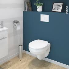Comparaison cuvette wc suspenduen fouillant ce top, achetez votre cuvette wc suspendu approprié. Pack Wc Suspendu Bati Universel Compact Plus Wirquin Cuvette Scala Sans Bride Plaque Blanche Oskab