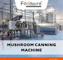 Mushroom Canning Machine