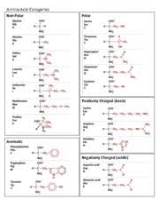 amino acid chart amino acid categories non polar polar