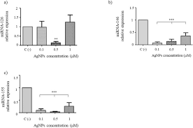 Diese übersicht zeigt die kategorien und zwecke der datenverarbeitung und datenspeicherung dieses systems. Effect Of Silver Nanoparticles Agnps Exposure On Microrna Expression And Global Dna Methylation In Endothelial Cells Ea Hy926 Sciencedirect