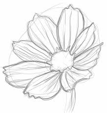 Just Think About If You Hand Draw A Lovely Rose Or Lily Flower Color It And Then Gift To Your Realistic Flower Drawing Flower Line Drawings Colorful Drawings