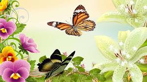 We did not find results for: Summer Time Summer Flowers Spring Butterflies Hd Wallpaper Peakpx