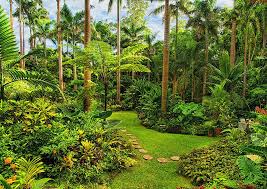 Hunte S Gardens Barbados West Indies Caribbean Islands Tropical Landscaping Backyard Garden Landscape Tropical Garden Design