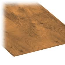 Maybe you would like to learn more about one of these? Micropro Sienna 1 2 4 X 8 Pressure Treated Plywood The Home Depot Canada
