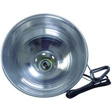 Check spelling or type a new query. Apollo Horticulture Purple Reign 150 Watt Clip Lamp Grow Light With 5 6 Inch Reflector 6 Foot Cord And Bulb Clamp Lamp Growing Light Fixtures Indoor Gardening Hydroponics Rayvoltbike Com