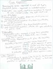 Check spelling or type a new query. Biological Classification Pogil Extension Questions Answers Hm Are You A Human