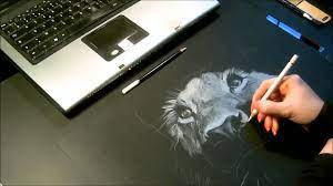 Speed drawing, dessin "Lionne" Crayon blanc sur fond noir - YouTube
