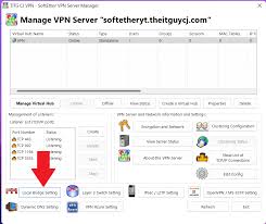 Image result for softether vpn server GUI