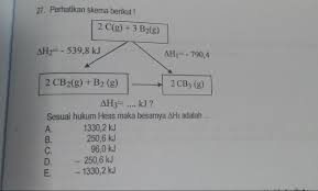 Tolong Dibantu Yaa Brainly Co Id