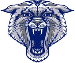 The Blair-Taylor Wildcats