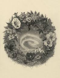 Juleroser 2020 — Katrin Berge