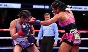 Miguel Cotto Promotions