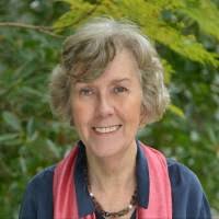 PDF) Historians as Demonologists: The Myth of the MidwifewitchDavid Harley  1990 Social History of Medicine, vol. 3, no. 1, April, pp. 1–26