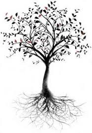 More Tattoo Ideas Tattoo Trees Olive Tree Tattoos Tree Roots Tattoo Roots Tattoo