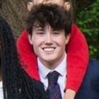 200+ "Insull" profiles