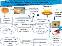 Dual Effectiveness Of Flaxseed In Constipation And Diarrhea