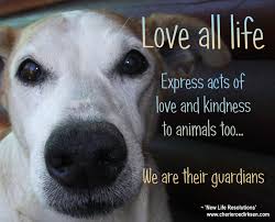 Quotes About Love Of Animals 170 Quotes