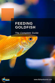 Complete Guide To Goldfish Food Goldfish Food Ideas What Goldfish Eat What Is The Best Food And How Often Goldfish Should Eat Goldfish Goldfish Food Fish