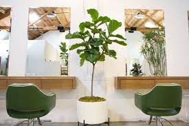 Many hair salons use hair colors that are filled with harmful chemicals. How An A List Salon In L A Goes The Extra Eco Friendly Mile Home Hair Salons Hair Salon Decor Hair Salon Interior