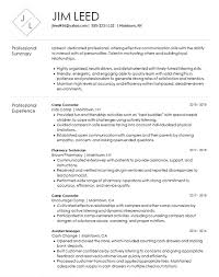 camp counselor resume example kids