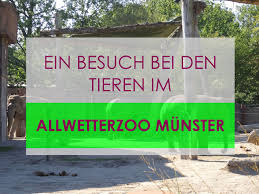 Ein Besuch Bei Den Tieren Im Allwetterzoo Munster Tiere Munster Und Zoologischer Garten