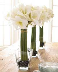 Pin On Flowers