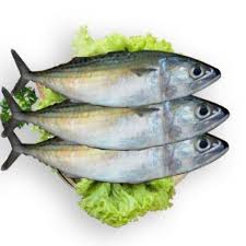 Maybe you would like to learn more about one of these? Ikan Kembung Banjar Fresh Segar Hidup Kiloan Pasar Murah Jakarta Shopee Indonesia