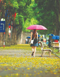 Káº¿t quáº£ hÃ¬nh áº£nh cho áº¢NH MUÃ€ THU VÃ€ THIáº¾U Ná»®