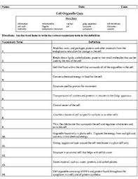 Hiv, or the human immunodeficiency virus, is a virus that infects cells of the immune system, undermining the body's ability to fight infection and disease. Pin On Educacao