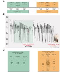 Bright side looked at the meaning of the same hand gestures in different parts of the world and thinks it would be good for us to know them when traveling. Genomic Evidence Of A Sars Cov 2 Reinfection Case With E484k Spike Mutation In Brazil V2 Preprints