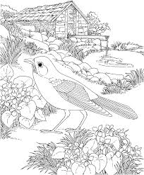 Birds Of Wisconsin Book Free Printable Coloring Page Wisconsin State Bird And Flower Robin Wood Violet Educational Printa Bird Coloring Pages Coloring Pages Flower Coloring Pages