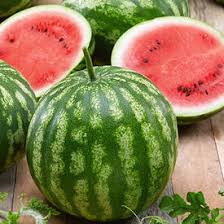 There are quite a lot of varieties of watermelon at this point. Icebox Watermelons Seeds Urban Farmer