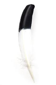 Dipped Smudge Feather Feather Black And White Smudging Feathers