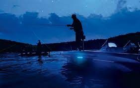 Fishing Tips Catch More Bass At Night Night Fishing Fishing Techniques Fishing Trip