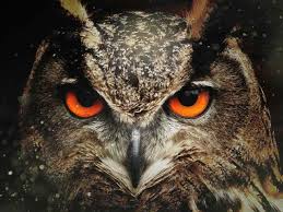 Since zodiac signs do not change exactly at midnight, there is a slight chance that your sign could be different than the one listed, particularly if it is on a cusp between two different signs. 7 Ways To Connect With Your Spirit Animal Lonerwolf