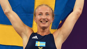 Bildresultat för expressen mattsson