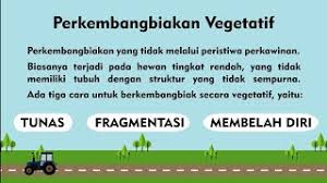 We did not find results for: Perkembang Biakan Hewan Secara Vegetatif Tunas Fragmentasi Membelah Diri Youtube