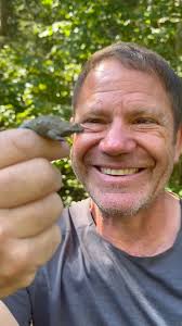 New funnelweb spider species! The world's most iconic spider just got  supersized. The Newcastle funnelweb has vast potential for pharmacology,  venom and anti venin research, and is… really cool! With my new